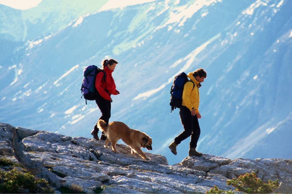 couple hiking on mountain with their backpacks and a dog