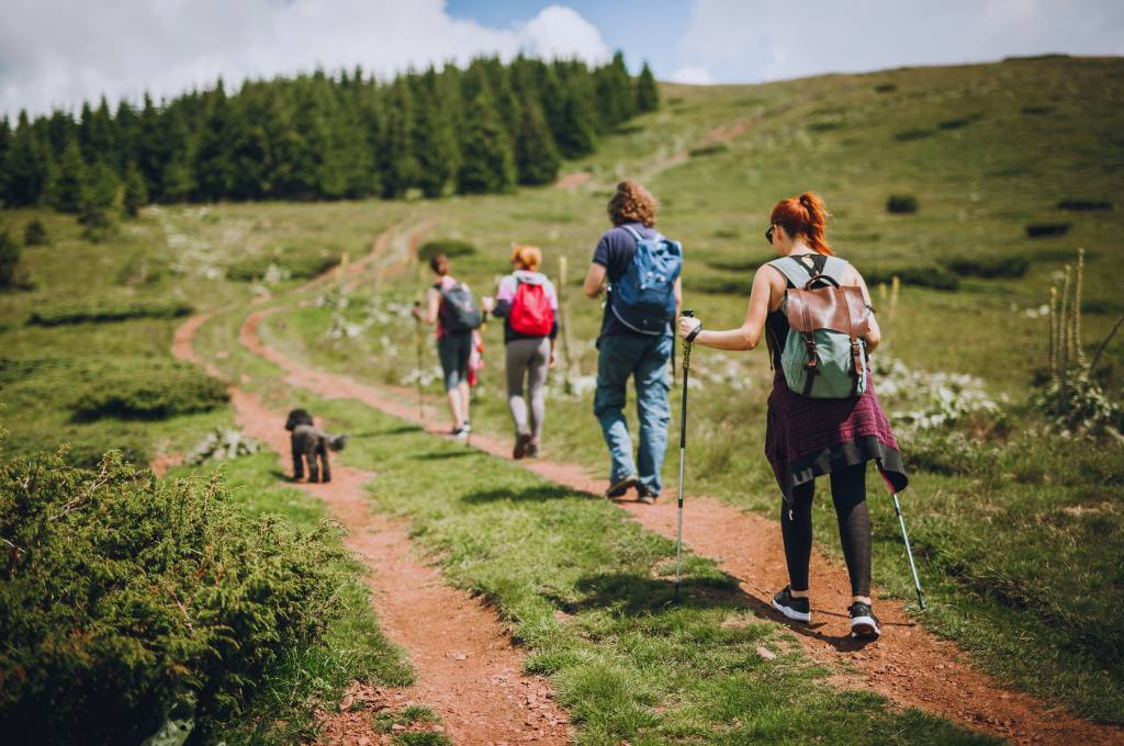a group of friends hiking with their dog